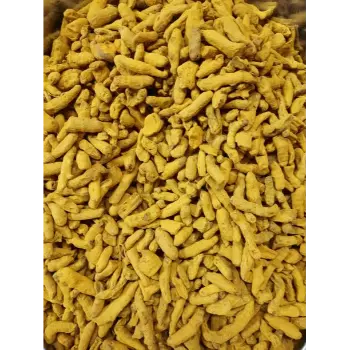 Common Turmeric Finger